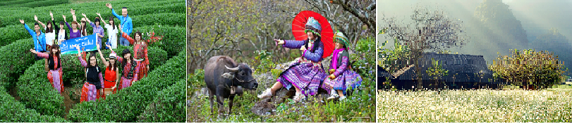 du lịch Mộc Châu